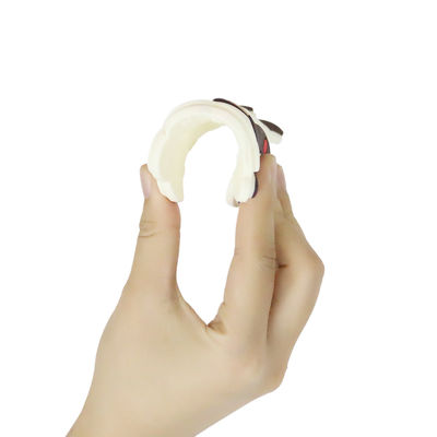 Красочным силикон персонализированный младенцем Teether с формой Dino лошади овец