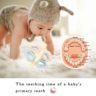 PAISEN BSCI Rattle Baby Teether Ball Toy BPA Free Силиконовый мягкий мячик, легкий в удержании